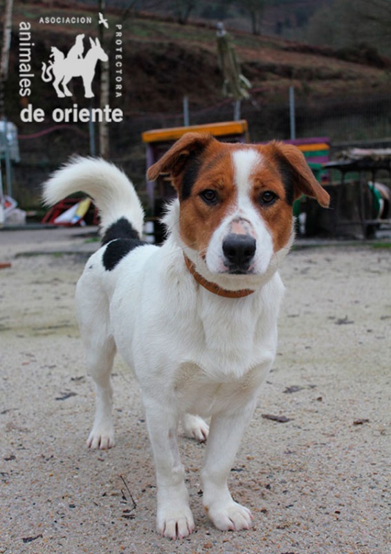 Foto Pancho