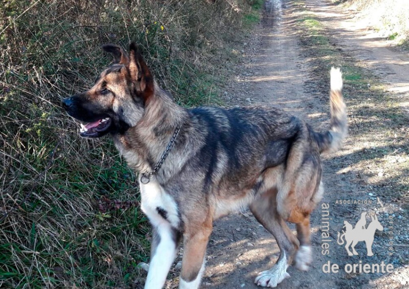 Foto Mika
