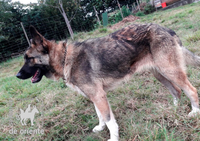 Foto Mika