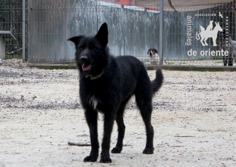 Foto Moro