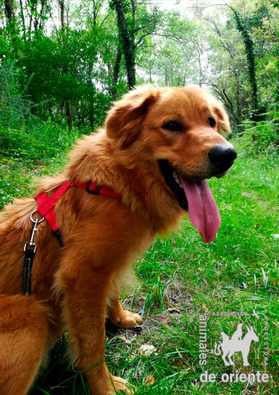 Foto Leo