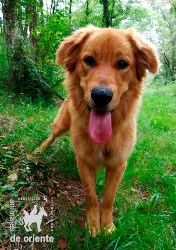 Foto Leo