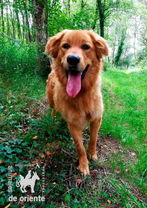 Foto Leo