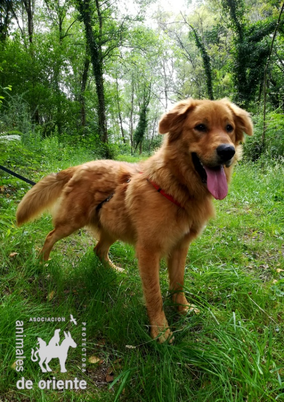 Foto Leo