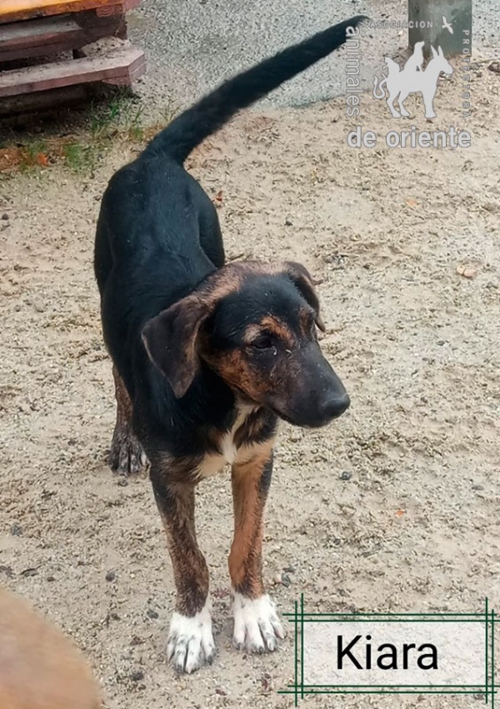 Foto Kiara