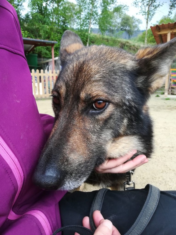 Foto Fumu