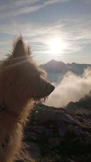 Foto Alan