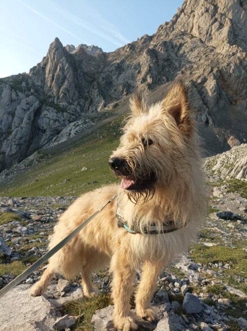 Foto Alan