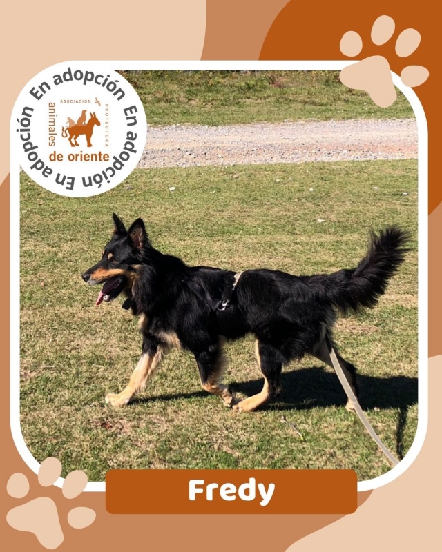 Foto Fredy