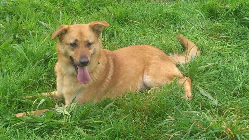 Foto Lila