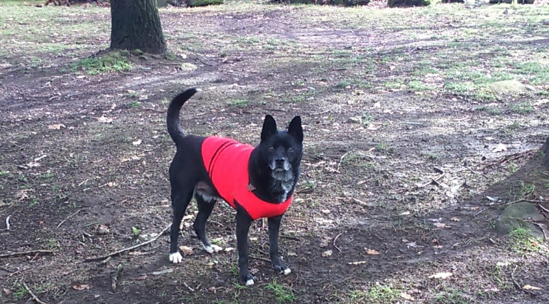 Foto Casper