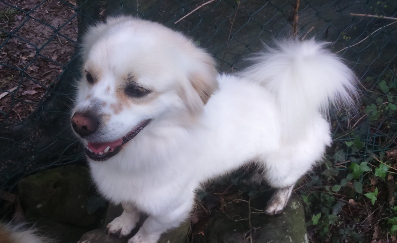 Foto Coco