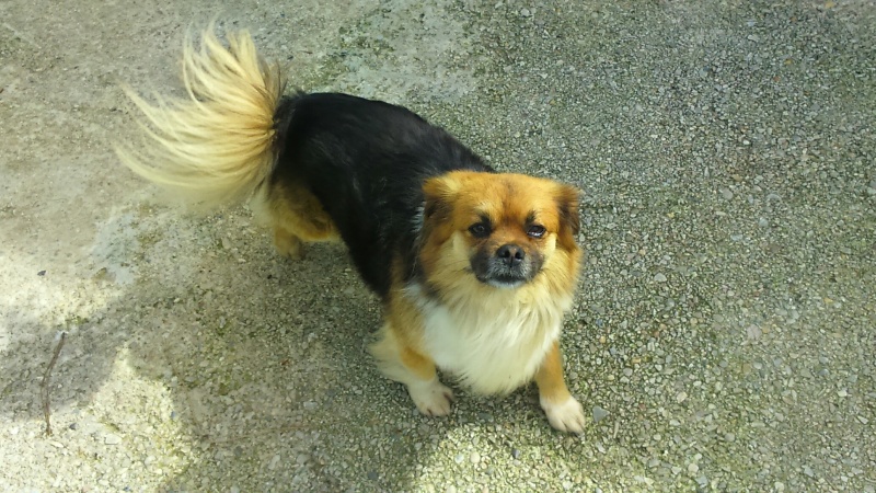 Foto Rocky