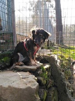 Foto Lilly