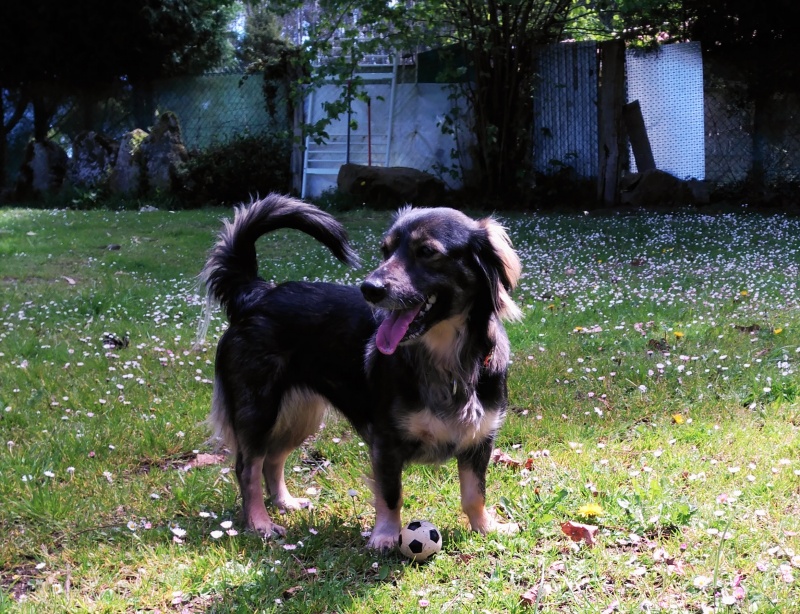Foto Lilly
