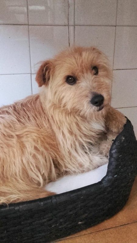 Foto Troy