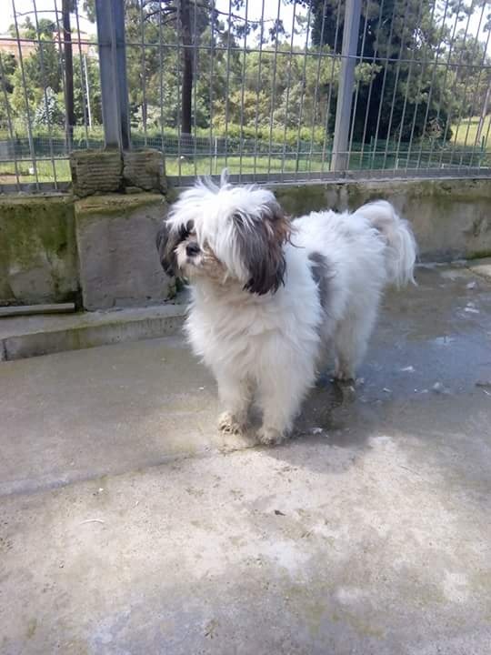 Foto Jack