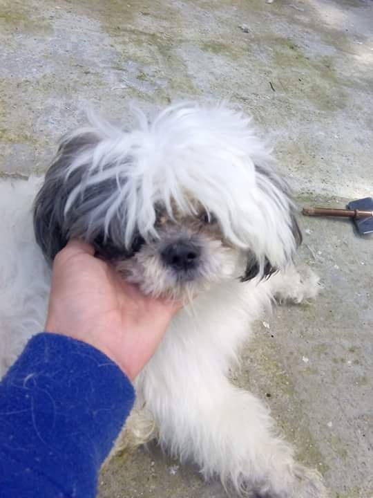 Foto Jack