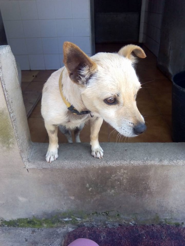 Foto Chulín