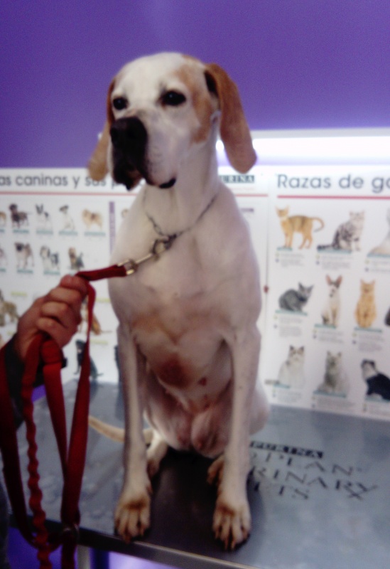 Foto Xena