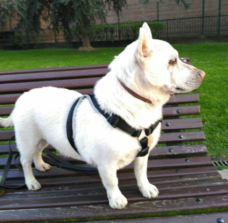 Foto Hans