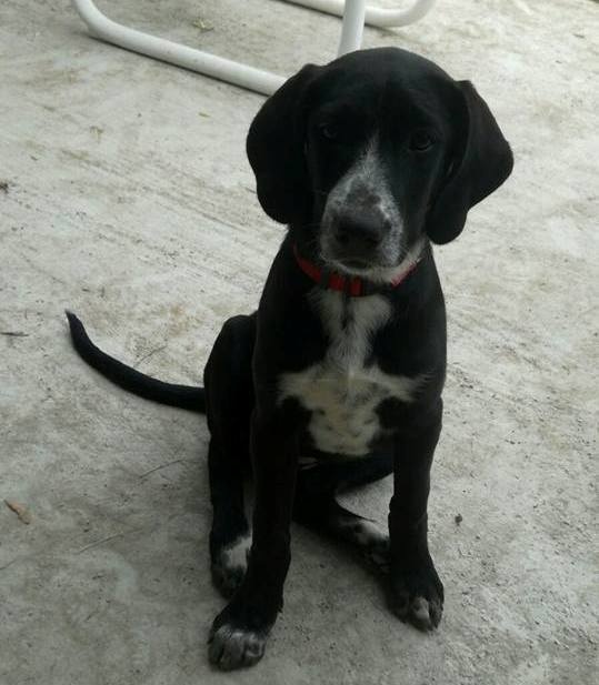 Foto Bimba