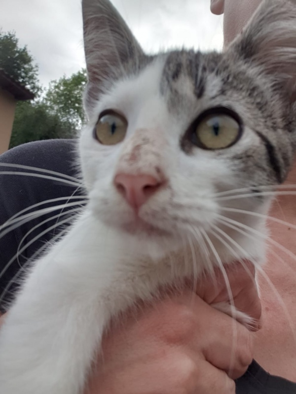 Foto Michi
