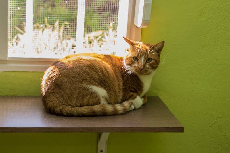 Foto Gus