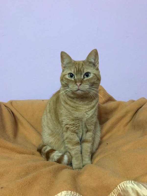 Foto Yera