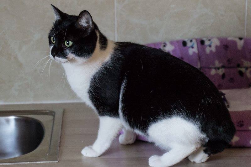 Foto Katy