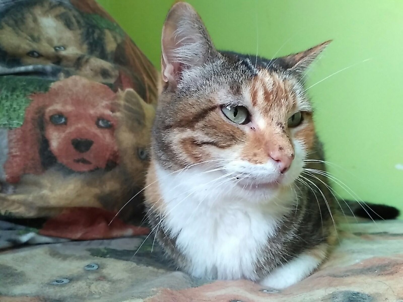 Foto Linda