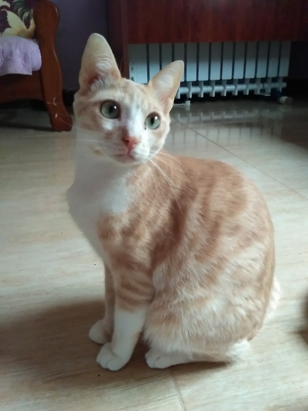 Foto Nilo