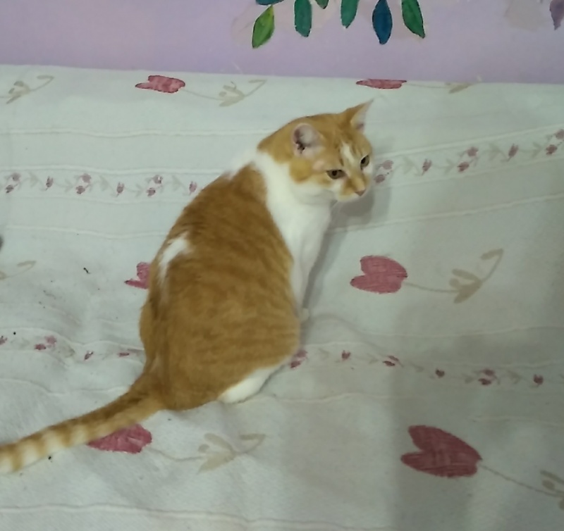 Foto Lucas