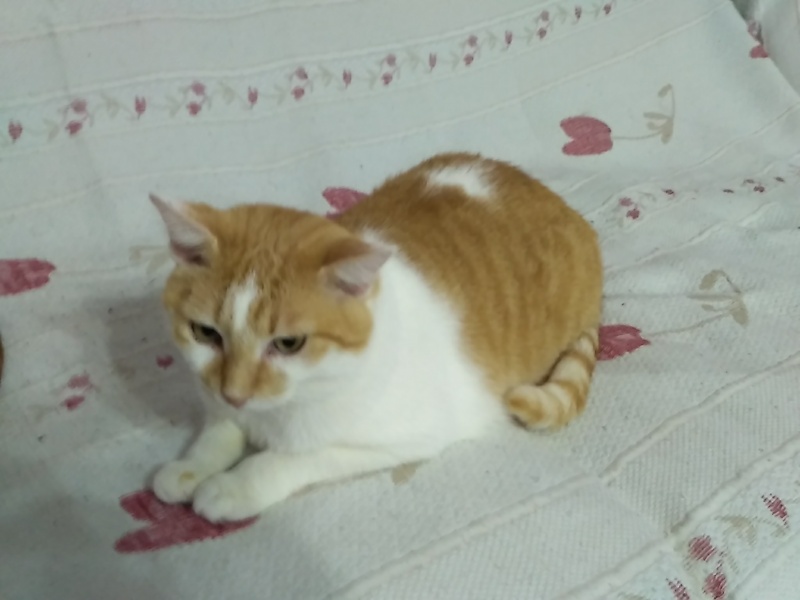 Foto Lucas
