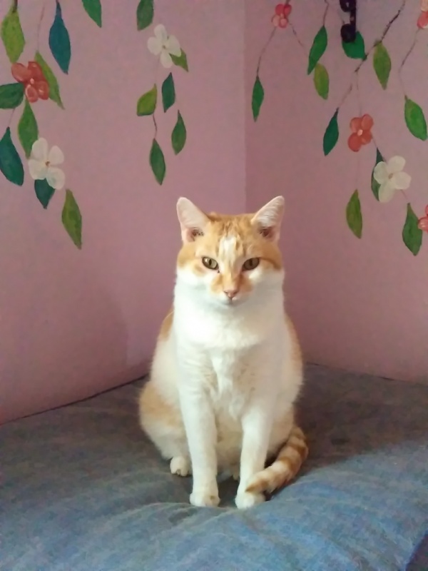 Foto Lucas