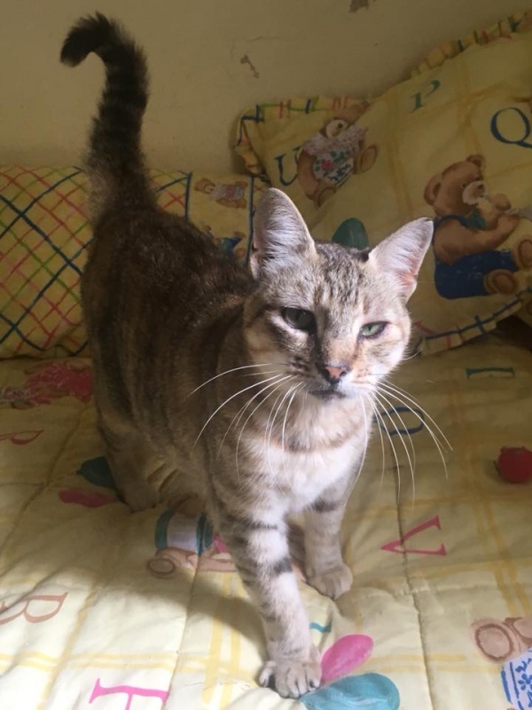 Foto Dori