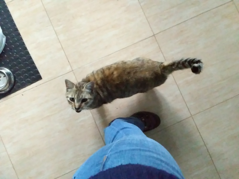 Foto Dori