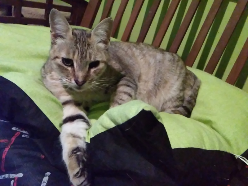 Foto Dori