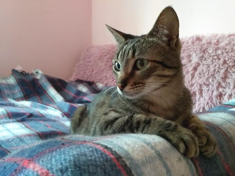 Foto TJ