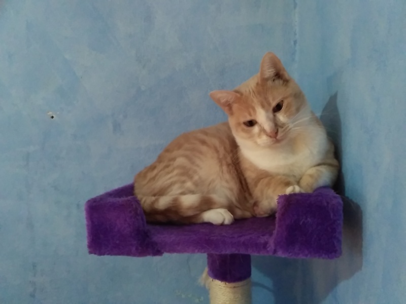 Foto Nilo
