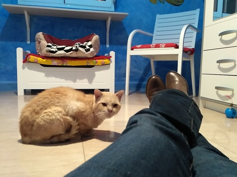 Foto Chester