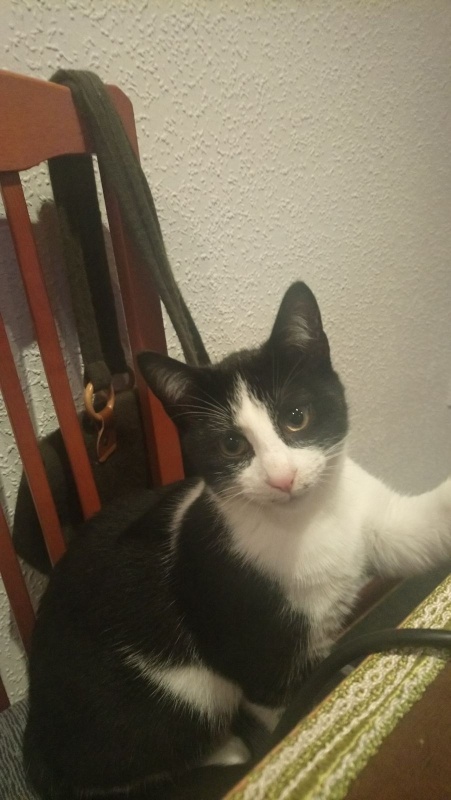 Foto Donald