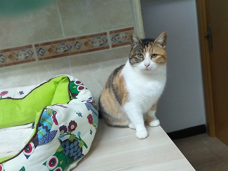 Foto Dama