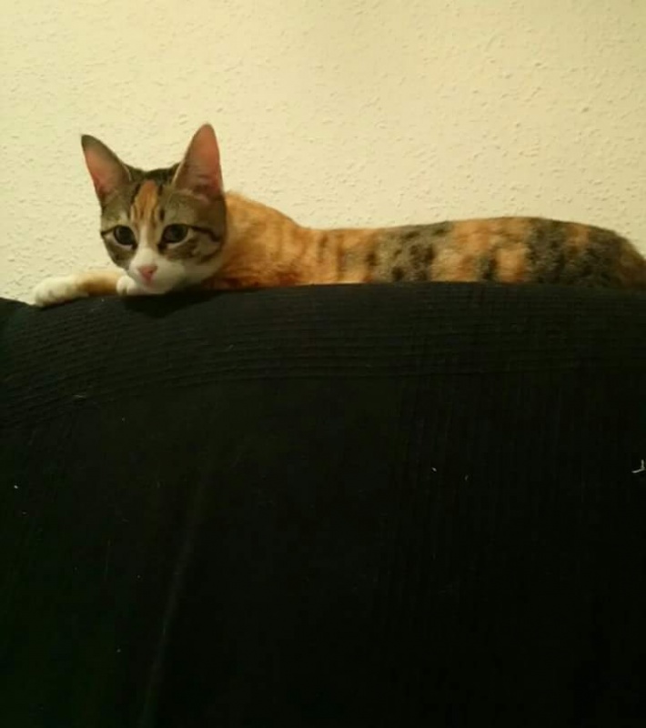 Foto Daisy