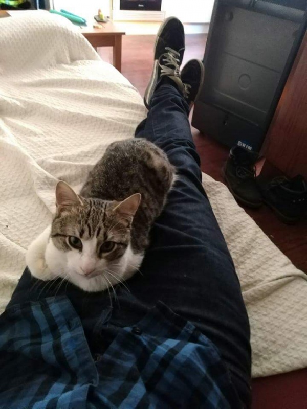 Foto Rocky