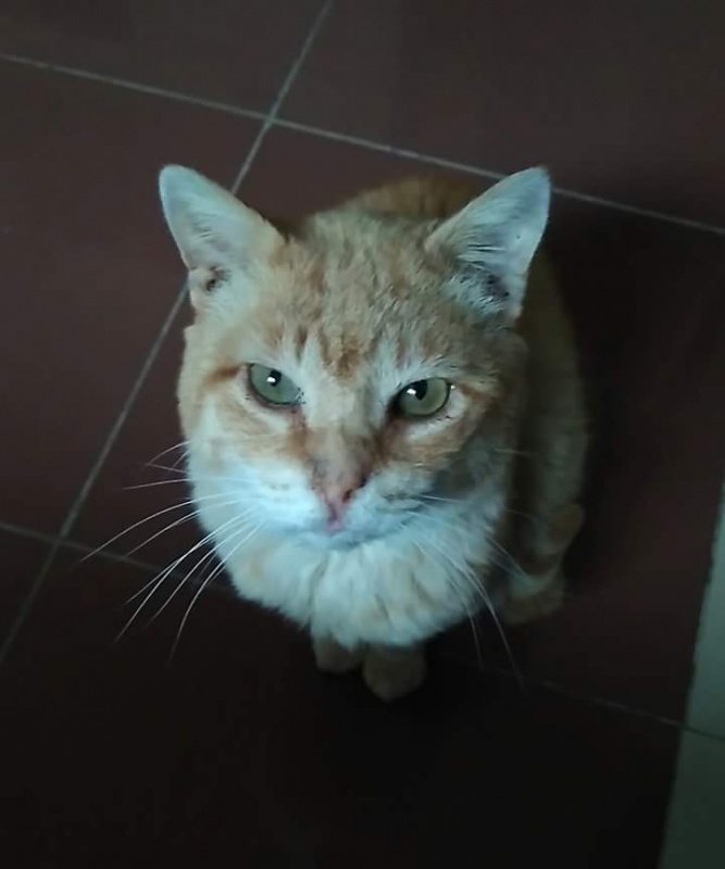 Foto Chester