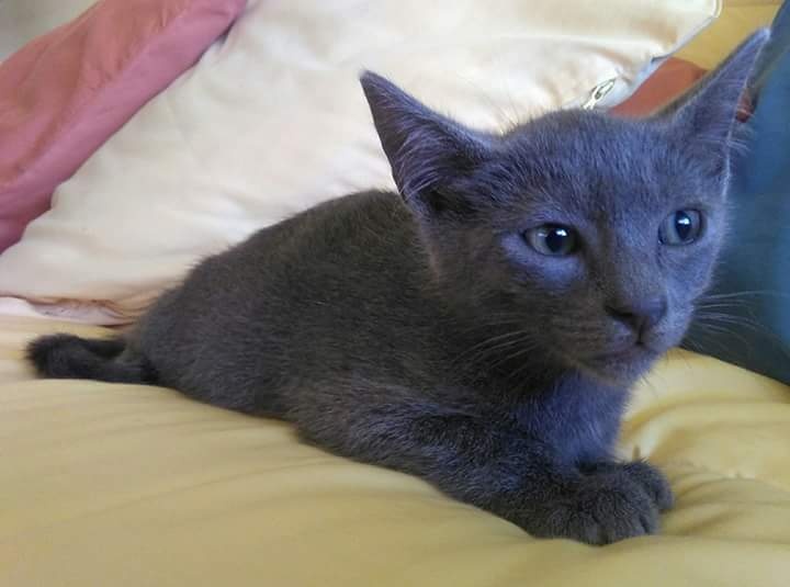 Foto Nino