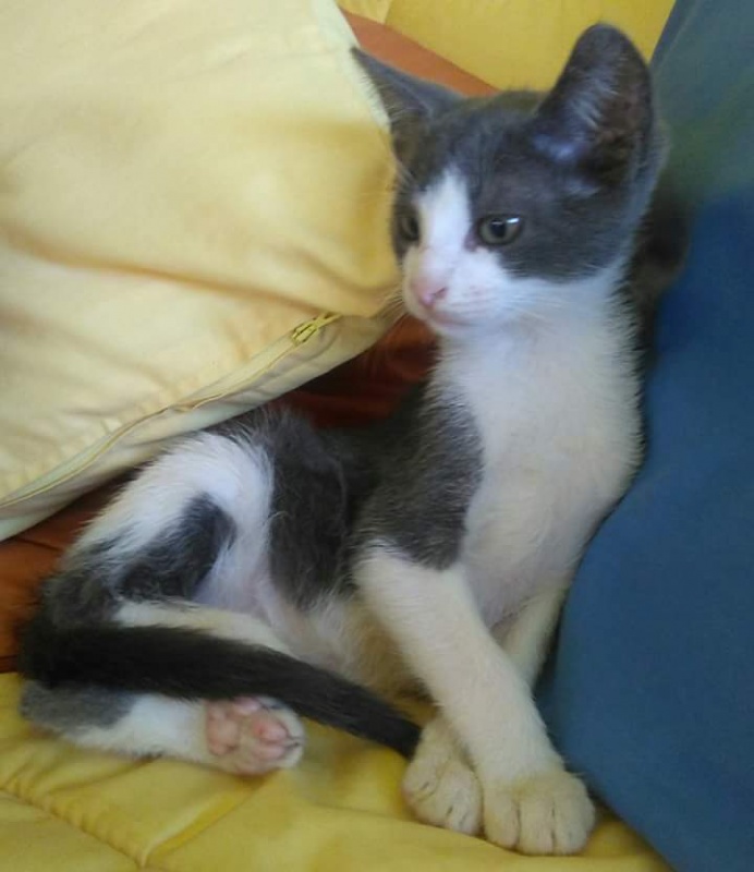 Foto Jerry