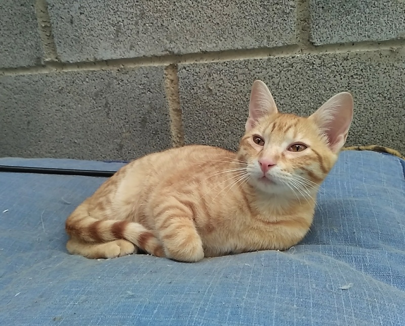 Foto Tristán