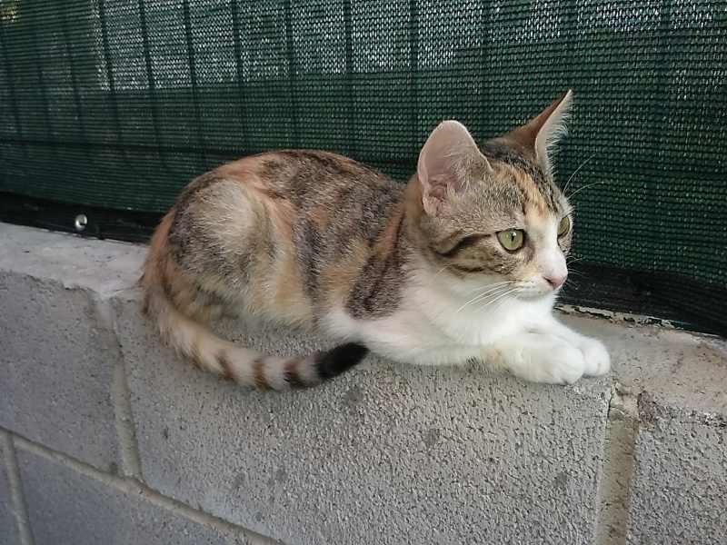 Foto Salomé